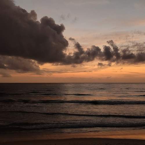 Photo #11064970