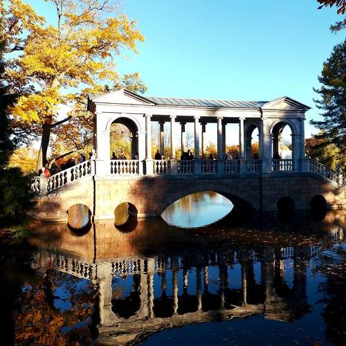 Photo #11065040