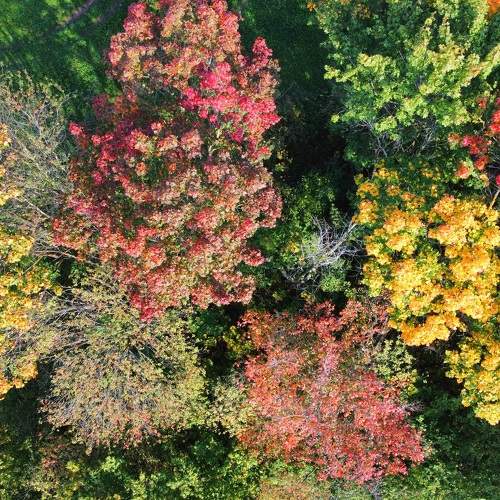 Photo #11065059