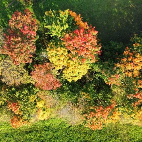 Photo #11065061