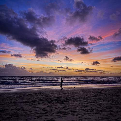 Photo #11065192