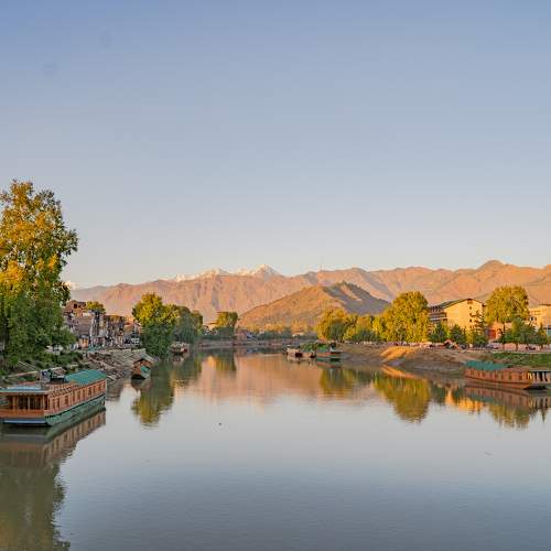 Photo #11065293