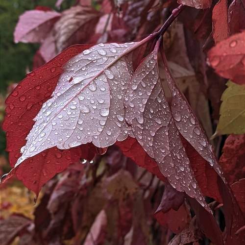 Photo #11065613
