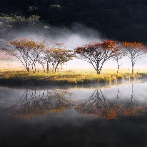 Kakumanbuchi Misty Lake Reflections