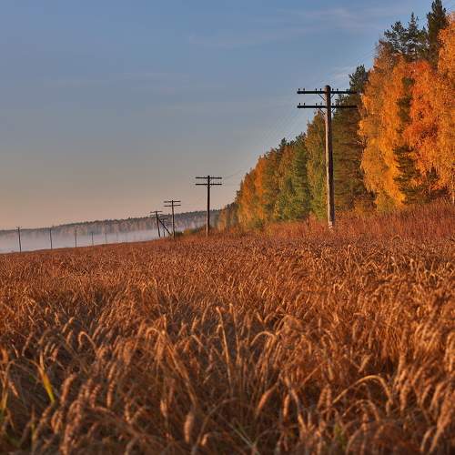 Photo #11065856