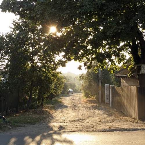 Photo #11065941