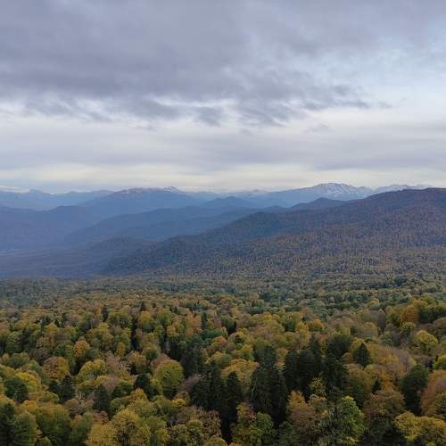 Photo #11065953