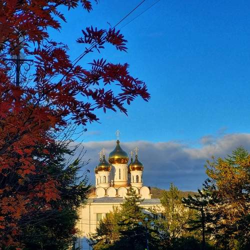 Photo #11066187