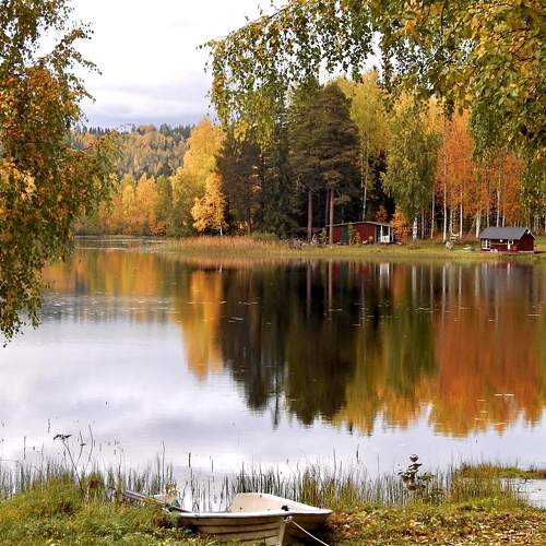 Photo #11066354