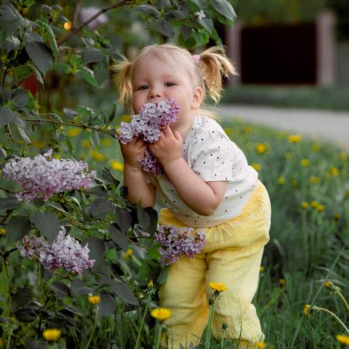 Photo #11066373