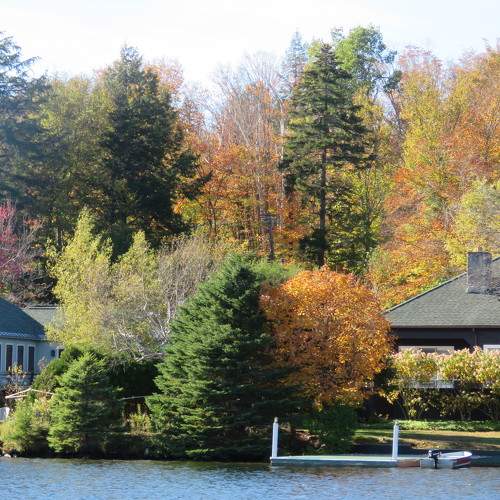 Photo #11066439