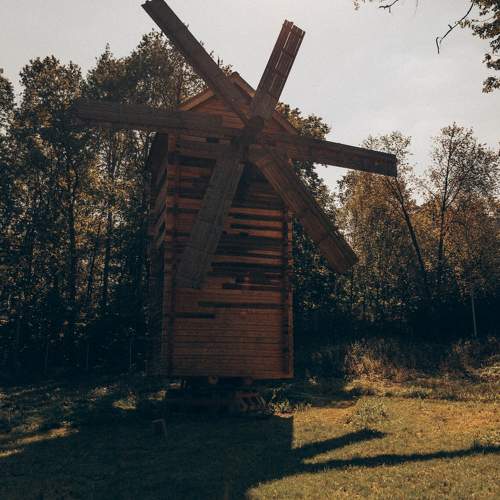 Photo #11066471