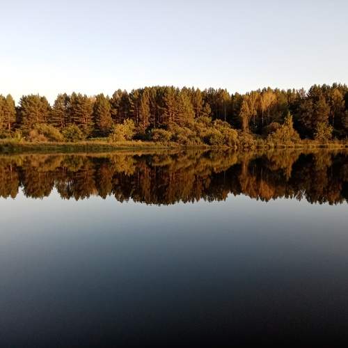 Photo #11066518
