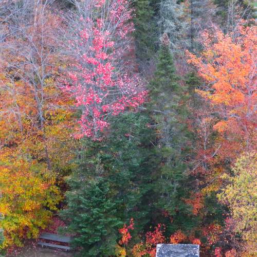 Photo #11066519