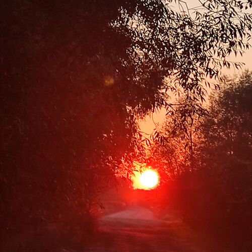 Photo #11066571