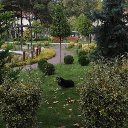 Photo #11066588