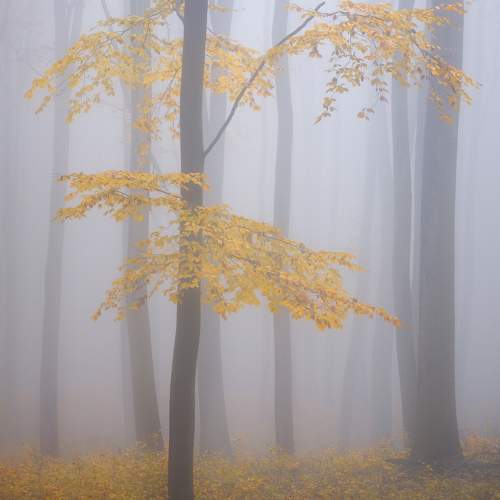 Фотография #11066643