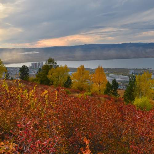 Photo #11066814