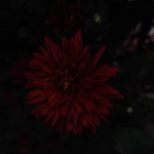 Photo #11066850