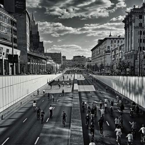 Photo #11066942