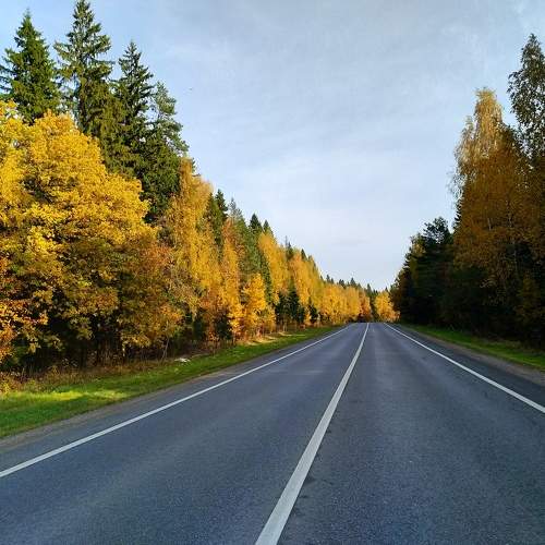 Autumn Road