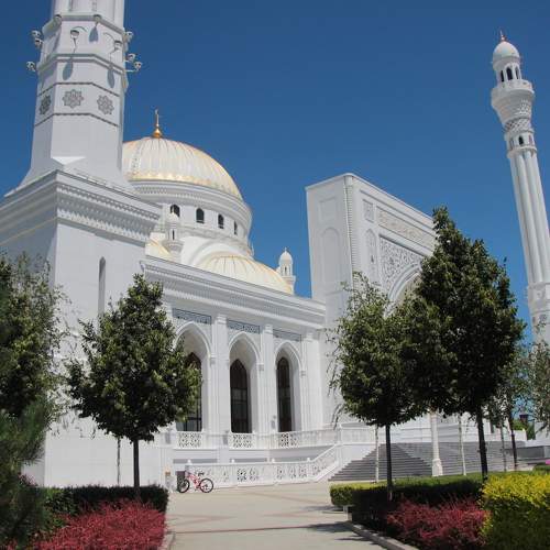 Photo #11067093