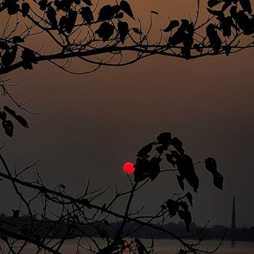 Photo #11067185
