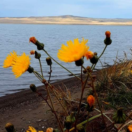 Photo #11067346