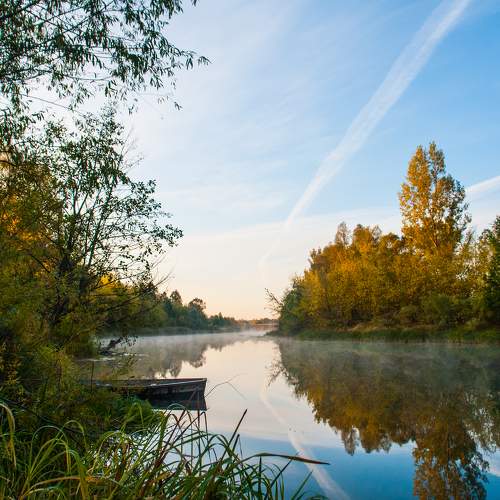 Photo #11067380