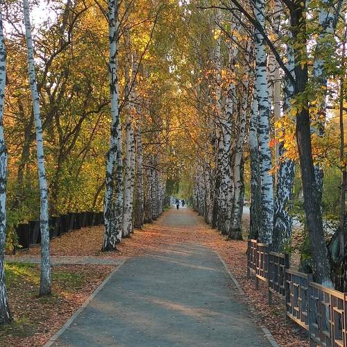 Photo #11067477