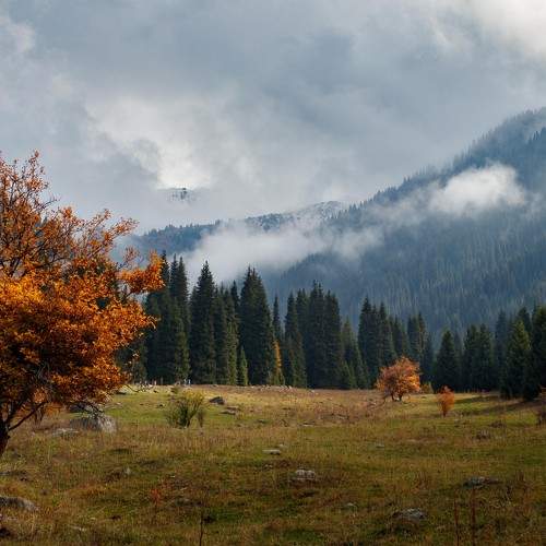 Photo #11067534