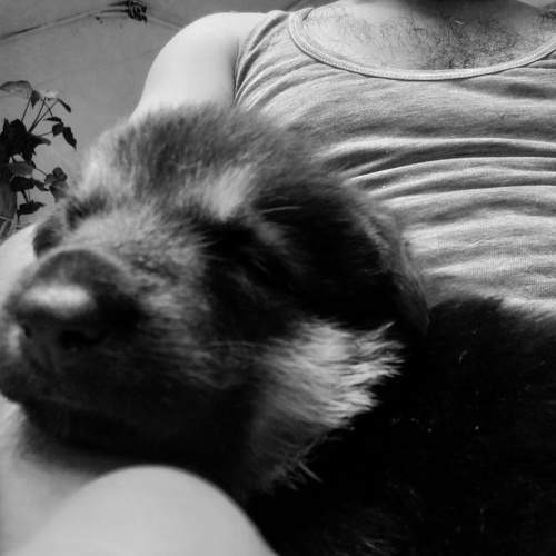 Photo #11067775