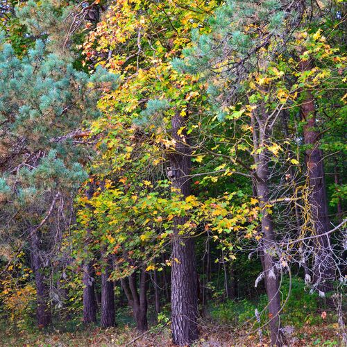 Photo #11068112