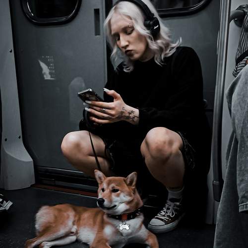 Photo #11068140