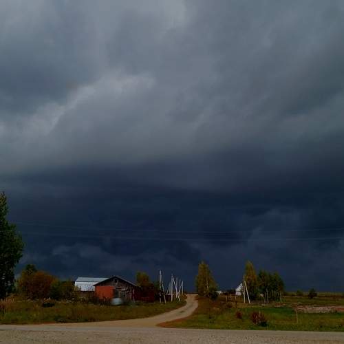 Photo #11068320