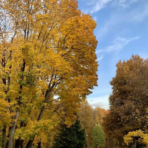 Photo #11068414