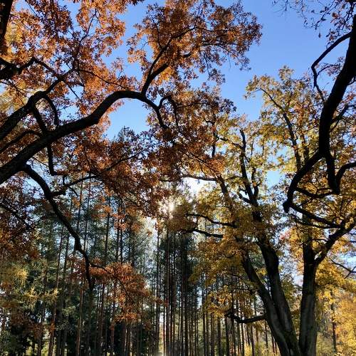Photo #11068415