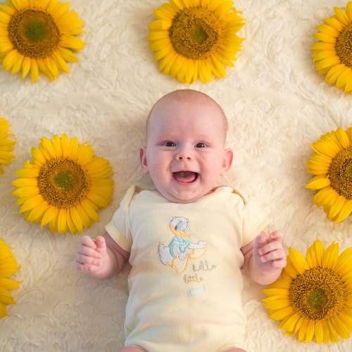 Photo #11068637