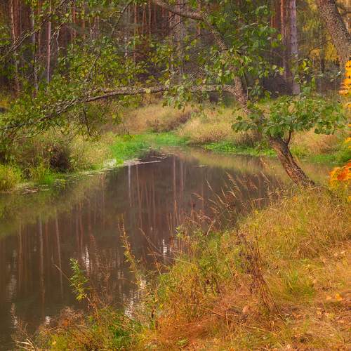 Photo #11068865