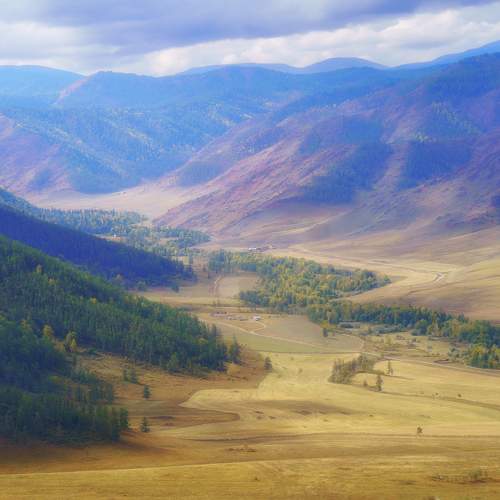 Photo #11068866