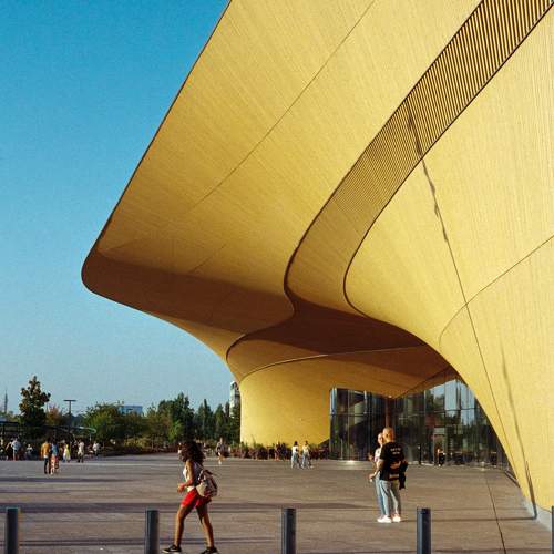 Photo #11068978