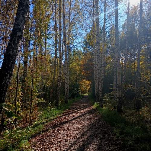 Photo #11069299
