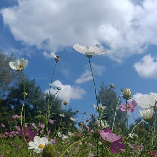 Photo #11069314