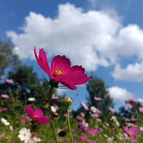 Photo #11069317
