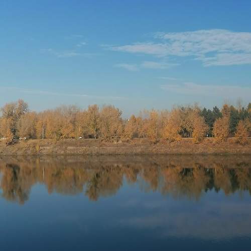 Photo #11070054