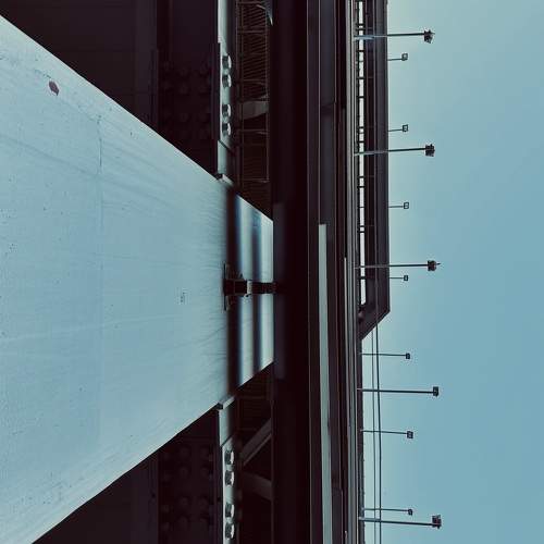 Photo #11070810