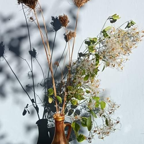 Photo #11071169