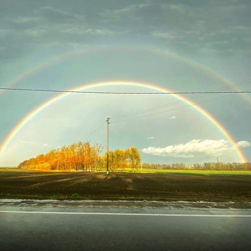 Photo #11071216