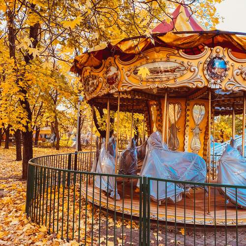 Photo #11071218