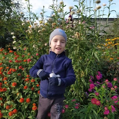 Photo #11071701